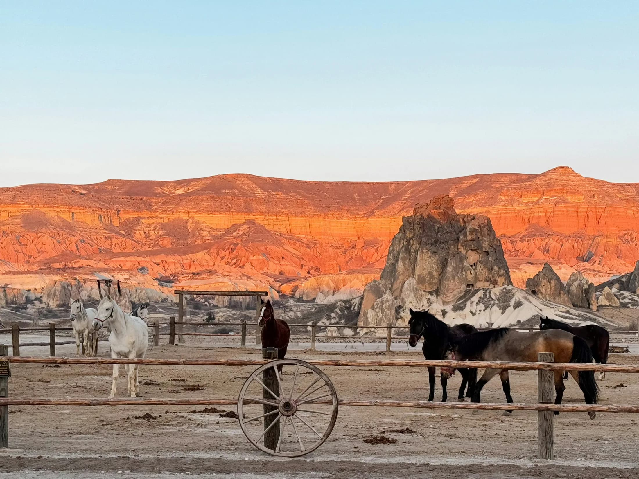 Sunset or Daytime Horseback Riding activity in Cappadocia